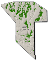 Great Basin Pinyon-Juniper